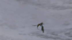 extant_GameOfThrones_4x01-TwoSwords_1961