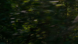 extant_GameOfThrones_4x01-TwoSwords_4958