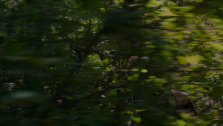 extant_GameOfThrones_4x01-TwoSwords_4959