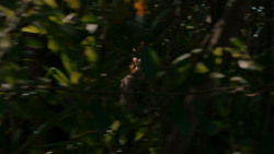 extant_GameOfThrones_4x01-TwoSwords_4982