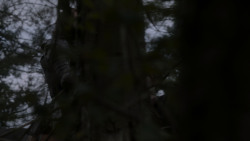 extant_GameOfThrones_4x01-TwoSwords_5231