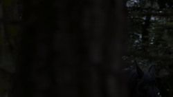 extant_GameOfThrones_4x01-TwoSwords_5282