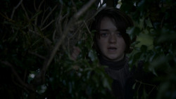 extant_GameOfThrones_4x01-TwoSwords_5350