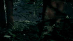 extant_GameOfThrones_4x02-TheLionAndTheRose_0014