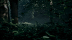 extant_GameOfThrones_4x02-TheLionAndTheRose_0016