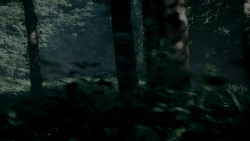 extant_GameOfThrones_4x02-TheLionAndTheRose_0022