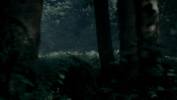 extant_GameOfThrones_4x02-TheLionAndTheRose_0023