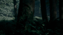 extant_GameOfThrones_4x02-TheLionAndTheRose_0024