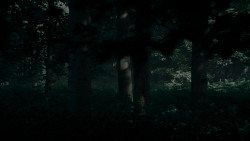 extant_GameOfThrones_4x02-TheLionAndTheRose_0028