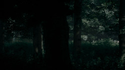 extant_GameOfThrones_4x02-TheLionAndTheRose_0035