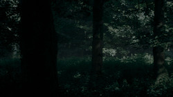 extant_GameOfThrones_4x02-TheLionAndTheRose_0037