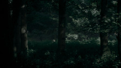 extant_GameOfThrones_4x02-TheLionAndTheRose_0039