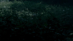 extant_GameOfThrones_4x02-TheLionAndTheRose_0054