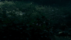 extant_GameOfThrones_4x02-TheLionAndTheRose_0055