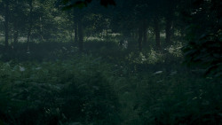 extant_GameOfThrones_4x02-TheLionAndTheRose_0061