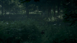 extant_GameOfThrones_4x02-TheLionAndTheRose_0062