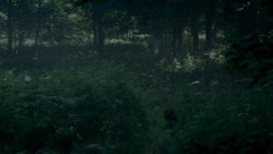 extant_GameOfThrones_4x02-TheLionAndTheRose_0063