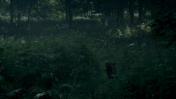 extant_GameOfThrones_4x02-TheLionAndTheRose_0064