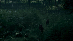 extant_GameOfThrones_4x02-TheLionAndTheRose_0065