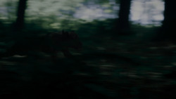extant_GameOfThrones_4x02-TheLionAndTheRose_0069