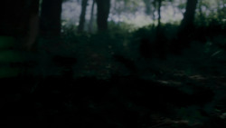 extant_GameOfThrones_4x02-TheLionAndTheRose_0073