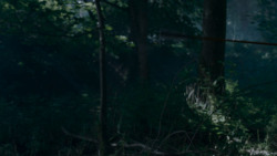 extant_GameOfThrones_4x02-TheLionAndTheRose_0087