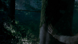 extant_GameOfThrones_4x02-TheLionAndTheRose_0088