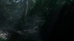 extant_GameOfThrones_4x02-TheLionAndTheRose_0101