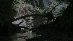 extant_GameOfThrones_4x02-TheLionAndTheRose_0124