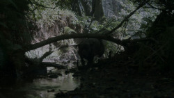 extant_GameOfThrones_4x02-TheLionAndTheRose_0125