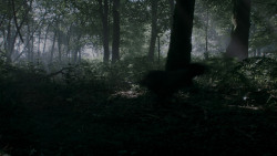 extant_GameOfThrones_4x02-TheLionAndTheRose_0148