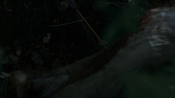 extant_GameOfThrones_4x02-TheLionAndTheRose_0151
