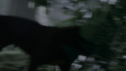 extant_GameOfThrones_4x02-TheLionAndTheRose_0152