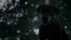 extant_GameOfThrones_4x02-TheLionAndTheRose_0155