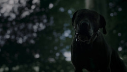 extant_GameOfThrones_4x02-TheLionAndTheRose_0156