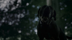 extant_GameOfThrones_4x02-TheLionAndTheRose_0157