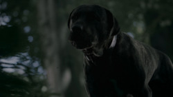 extant_GameOfThrones_4x02-TheLionAndTheRose_0163
