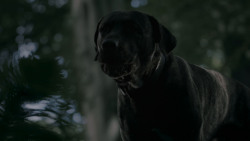extant_GameOfThrones_4x02-TheLionAndTheRose_0164