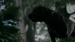 extant_GameOfThrones_4x02-TheLionAndTheRose_0169
