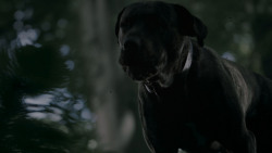 extant_GameOfThrones_4x02-TheLionAndTheRose_0193