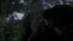 extant_GameOfThrones_4x02-TheLionAndTheRose_0247