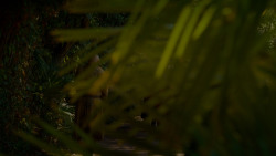 extant_GameOfThrones_4x02-TheLionAndTheRose_1317
