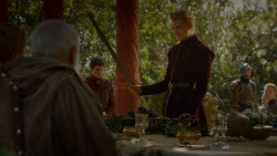extant_GameOfThrones_4x02-TheLionAndTheRose_1688