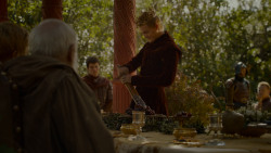 extant_GameOfThrones_4x02-TheLionAndTheRose_1693