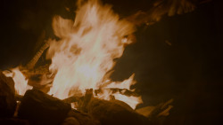 extant_GameOfThrones_4x02-TheLionAndTheRose_2019