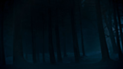 extant_GameOfThrones_4x02-TheLionAndTheRose_2544