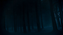 extant_GameOfThrones_4x02-TheLionAndTheRose_2545