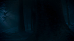 extant_GameOfThrones_4x02-TheLionAndTheRose_2553