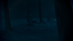 extant_GameOfThrones_4x02-TheLionAndTheRose_2565