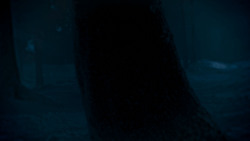 extant_GameOfThrones_4x02-TheLionAndTheRose_2569